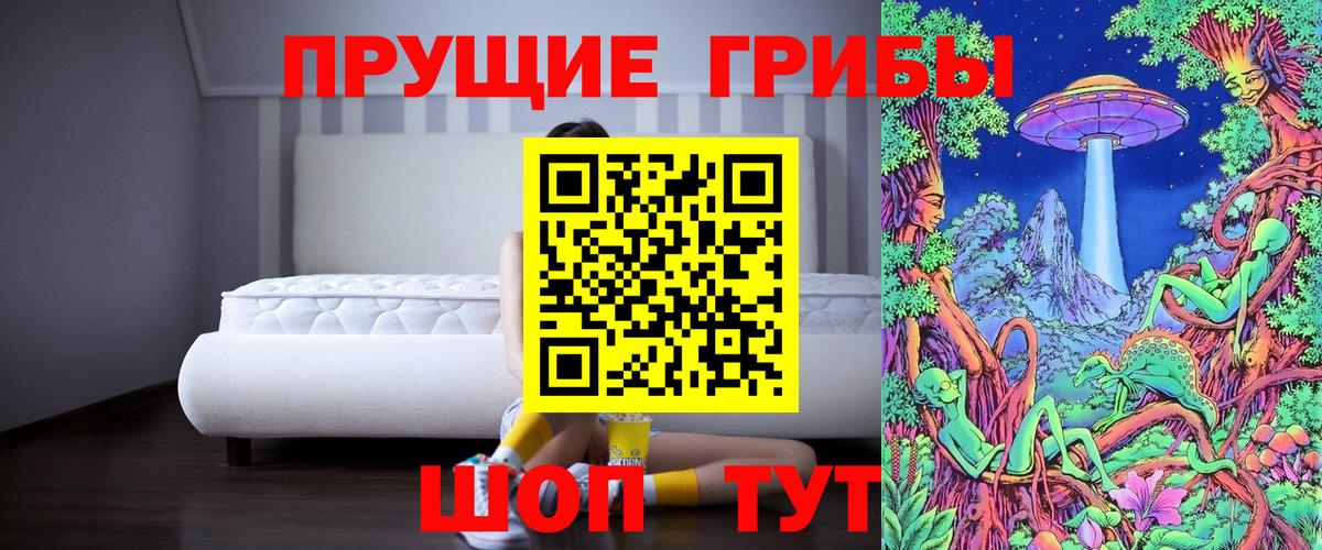 как найти наркотики  Жигулёвск  Псилоцибиновые грибы мухоморы 