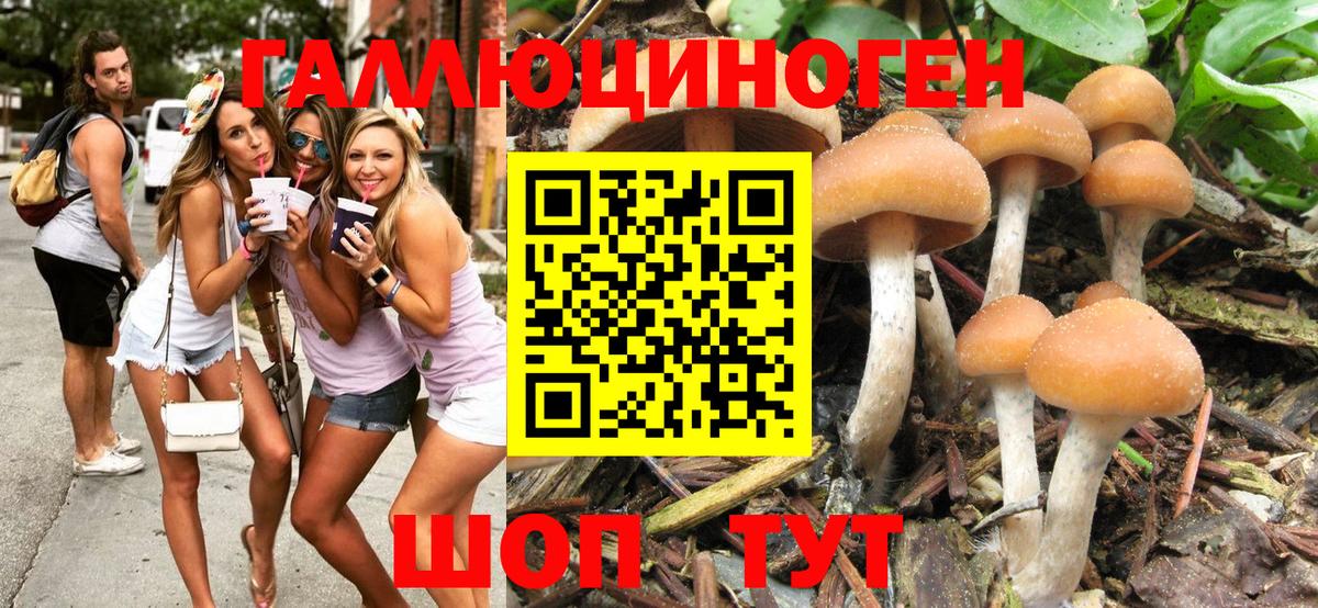 Псилоцибиновые грибы MAGIC MUSHROOMS Жигулёвск