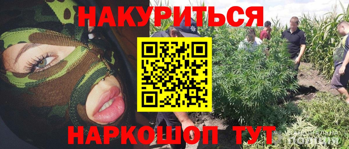 Канабис марихуана  Конопля Bruce Banner  Жигулёвск  МАРИХУАНА MAZAR 